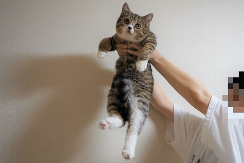 ライオン・キング