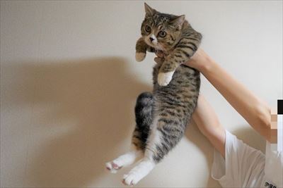 ライオン・キング