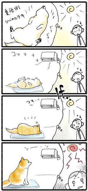 涼しい場所1枚目