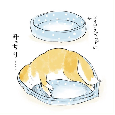 みっちりつまるワンコ