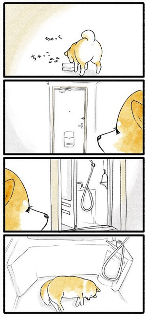  涼しい場所2枚目