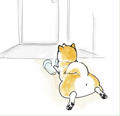 柴犬のお出迎え