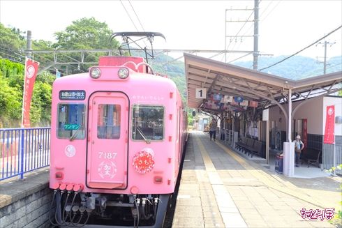 加太さかな線めでたいでんしゃ