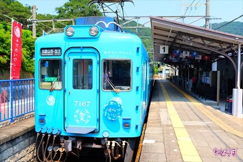 加太さかな線めでたいでんしゃ