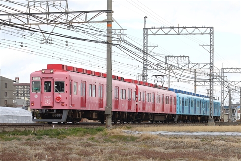 加太さかな線めでたいでんしゃ