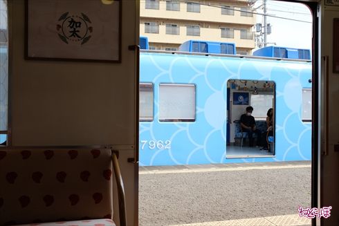 加太さかな線めでたいでんしゃ