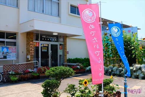 加太さかな線めでたいでんしゃ