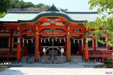 加太さかな線めでたいでんしゃ