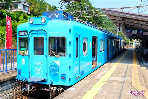 加太さかな線めでたいでんしゃ