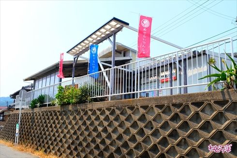 加太さかな線めでたいでんしゃ