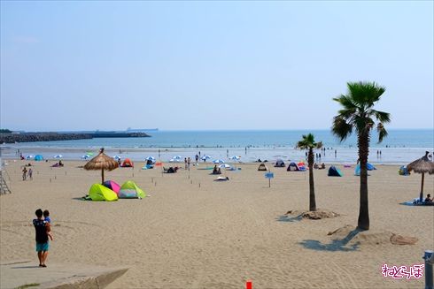 加太さかな線めでたいでんしゃ