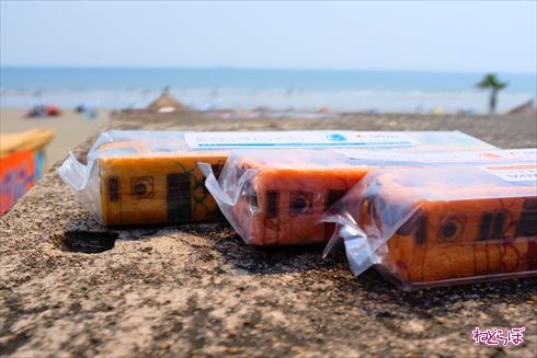 加太さかな線めでたいでんしゃ