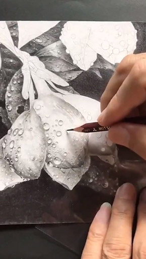 鉛筆画 動画
