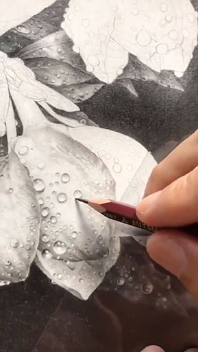 鉛筆画 動画