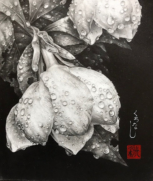 鉛筆画 動画