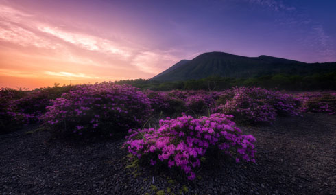 雷 花火 写真 シーサイドももち 花火ファンタジアFUKUOKA 2019