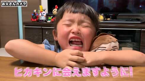 ヒカキン 好き 女の子 HIKAKIN ぬいぐるみ 大号泣 サプライズ ドッキリ 訪問 動画 YouTube