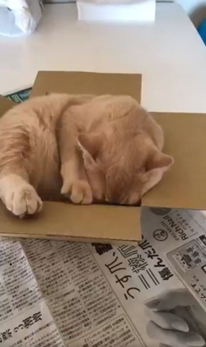 みかんとじろうさんち