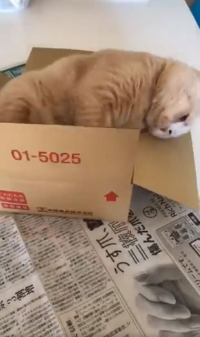 みかんとじろうさんち