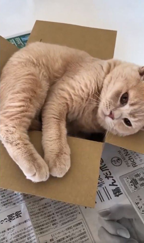 みかんとじろうさんち