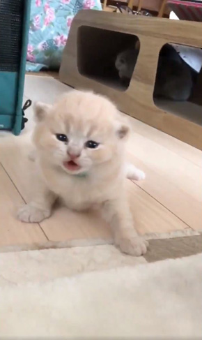 みかんとじろうさんち