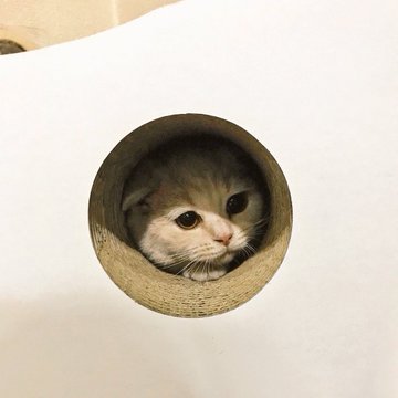 みかんとじろうさんち