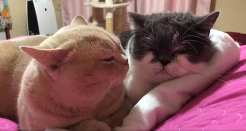 みかんとじろうさんち