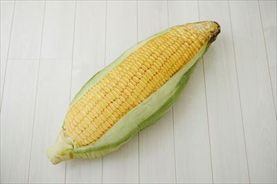 野菜モチーフクッション