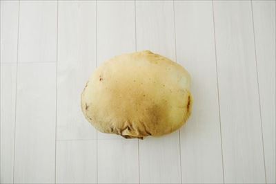 野菜モチーフクッション