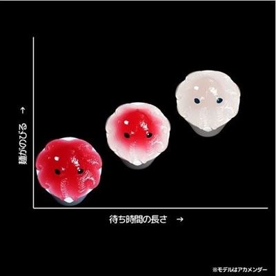 カップメンダコ