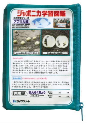 ショウワノート カプセルトイ