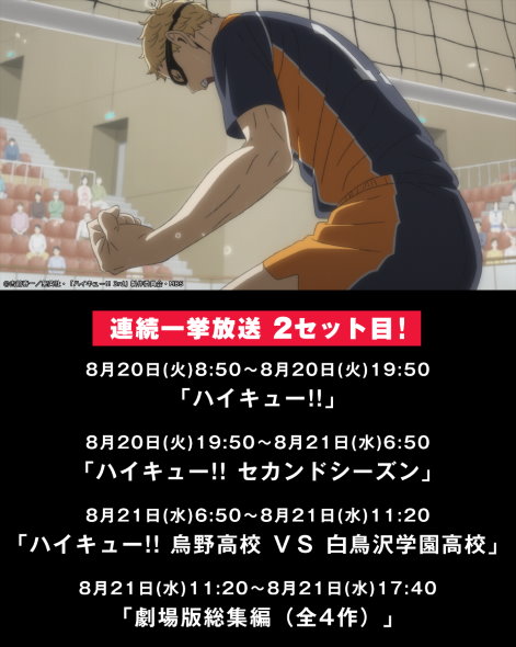 ハイキューの日 8月19日 avematv