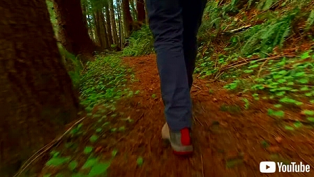 Appleが公開したASMR動画