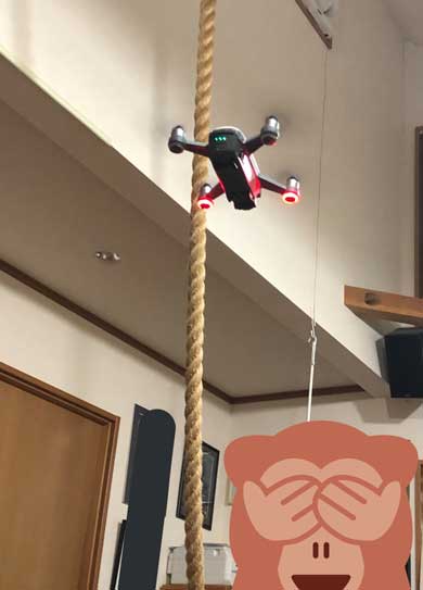 ドローン 初めて見た 猫 黒猫 目 まるい 瞳 ジジ