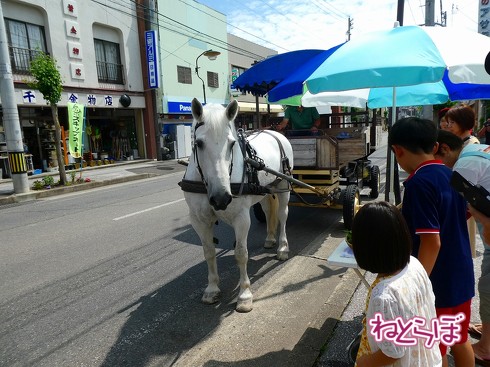 SL銀河 岩手花巻 釜石 銀河鉄道の夜 宮澤賢治