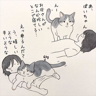 かまって欲しい猫ちゃんたち