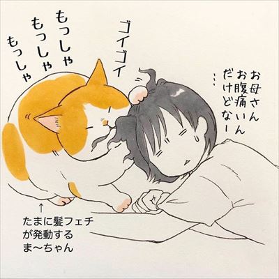かまって欲しい猫ちゃんたち