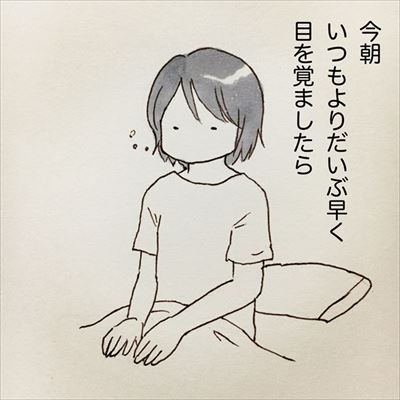 かまって欲しい猫ちゃんたち