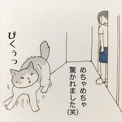 かまって欲しい猫ちゃんたち