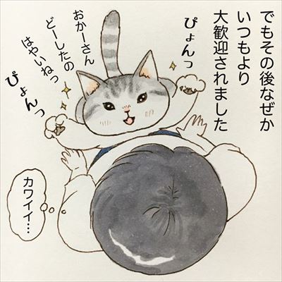 かまって欲しい猫ちゃんたち