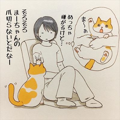 かまって欲しい猫ちゃんたち