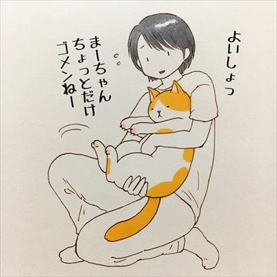 かまって欲しい猫ちゃんたち