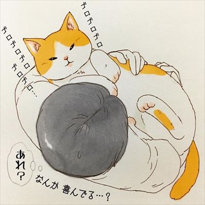 かまって欲しい猫ちゃんたち