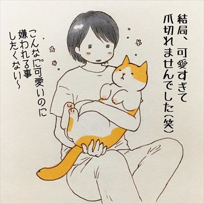 かまって欲しい猫ちゃんたち