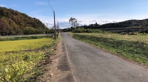 飛行機 プラモデル ラジコン 大破