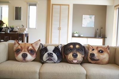 猫顔&犬顔クッション