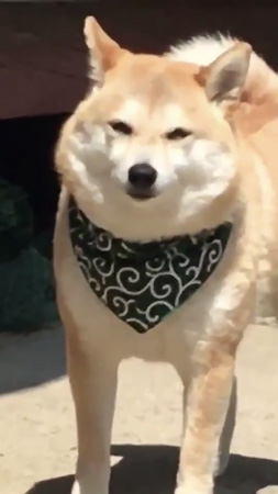 小春さんアップ