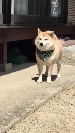 カメラに気付く小春さん