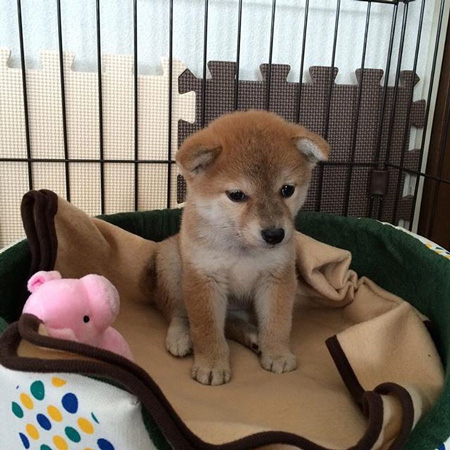 ベッドにいる小さい頃の小春さん