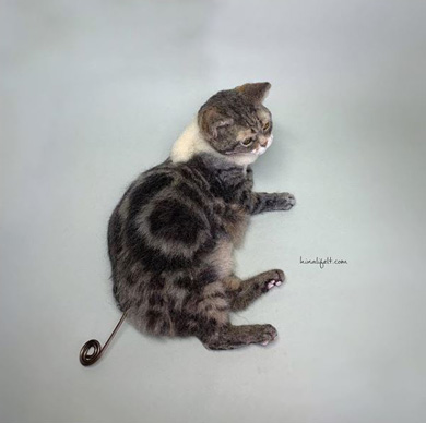 ヒナリさん